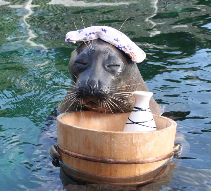 箱根水族館